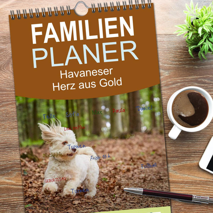 Havaneser - Herz aus Gold (CALVENDO Familienplaner 2026)