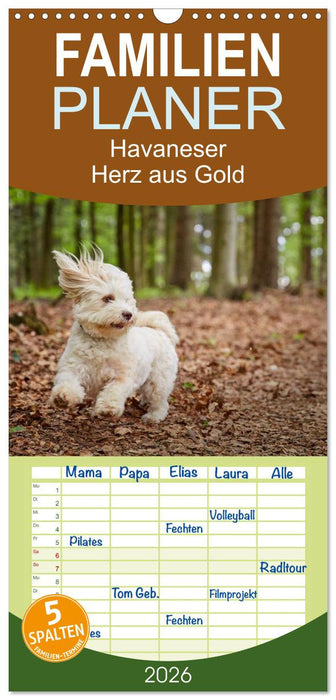 Havaneser - Herz aus Gold (CALVENDO Familienplaner 2026)