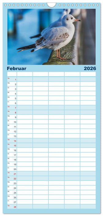 Ostseebad Binz – Zeit für Erholung (CALVENDO Familienplaner 2026)