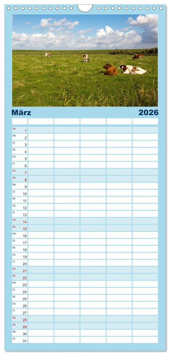 Grüße von Pellworm (CALVENDO Familienplaner 2026)