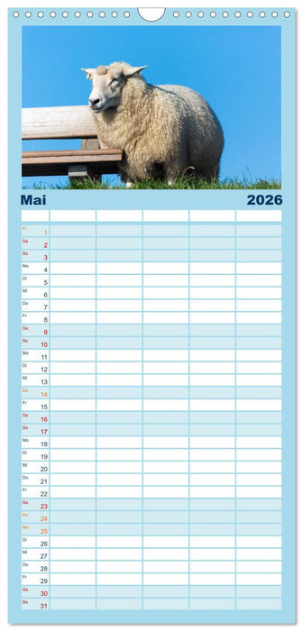 Grüße von Pellworm (CALVENDO Familienplaner 2026)