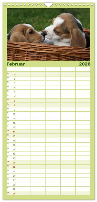 DER BEAGLEige TERMINPLANER (CALVENDO Familienplaner 2026)