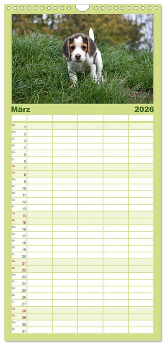 DER BEAGLEige TERMINPLANER (CALVENDO Familienplaner 2026)