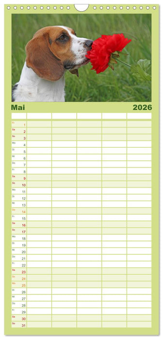 DER BEAGLEige TERMINPLANER (CALVENDO Familienplaner 2026)