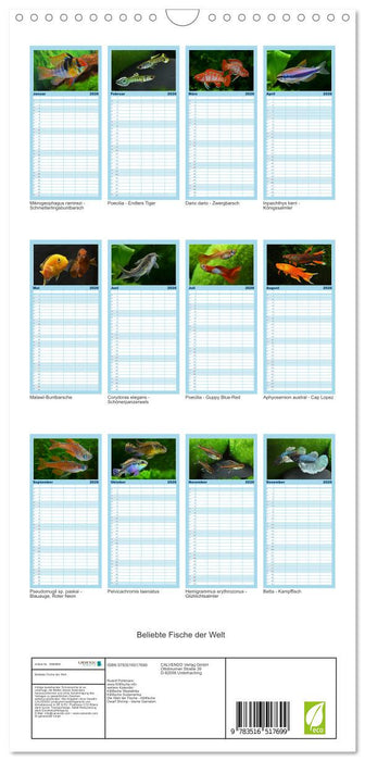 Beliebte Fische der Welt (CALVENDO Familienplaner 2026)