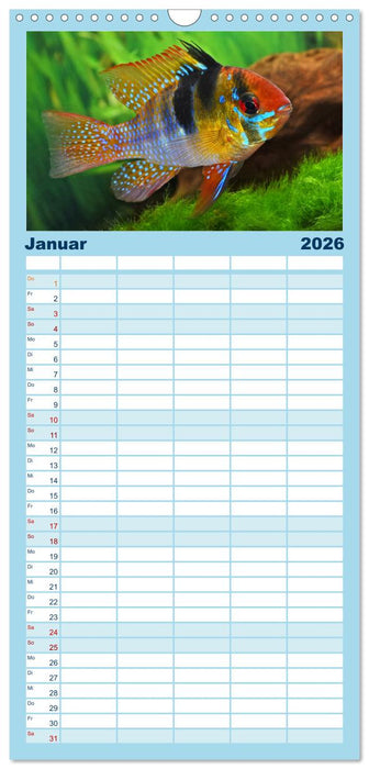 Beliebte Fische der Welt (CALVENDO Familienplaner 2026)