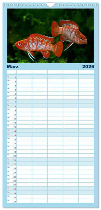 Beliebte Fische der Welt (CALVENDO Familienplaner 2026)