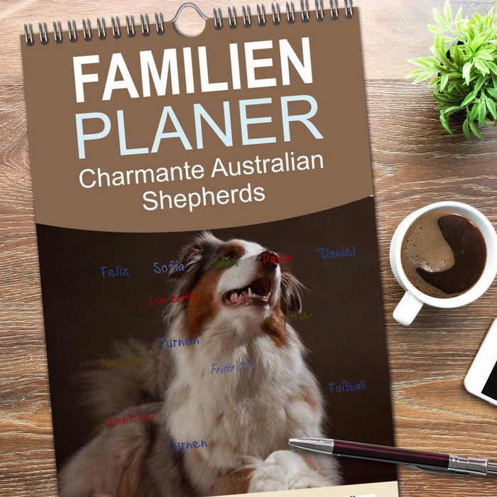 Charmante Australian Shepherds (CALVENDO Familienplaner 2026)