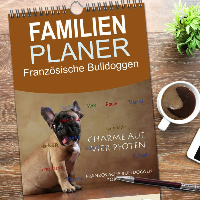 Charme auf vier Pfoten - Französische Bulldoggen Portraits (CALVENDO Familienplaner 2026)