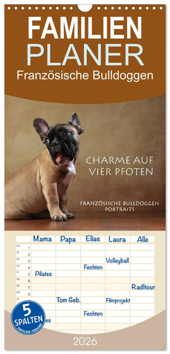 Charme auf vier Pfoten - Französische Bulldoggen Portraits (CALVENDO Familienplaner 2026)