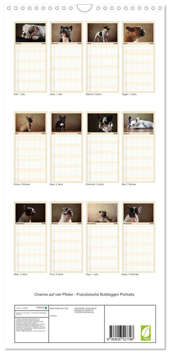 Charme auf vier Pfoten - Französische Bulldoggen Portraits (CALVENDO Familienplaner 2026)