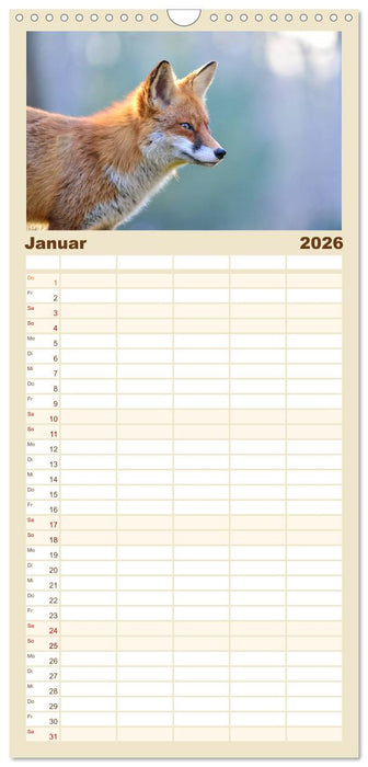 Auf den Spuren der Stadtfüchse (CALVENDO Familienplaner 2026)