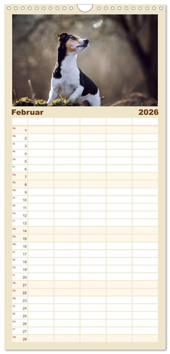 Hundeseele (CALVENDO Familienplaner 2026)