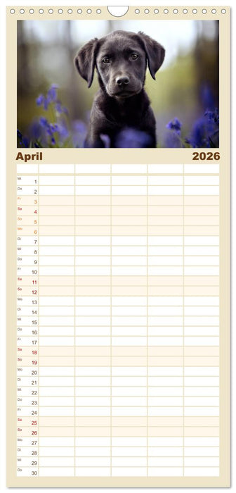 Hundeseele (CALVENDO Familienplaner 2026)