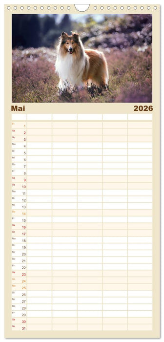 Hundeseele (CALVENDO Familienplaner 2026)