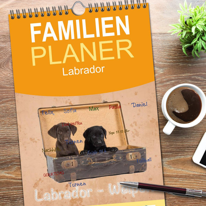 Labrador - Welpen (CALVENDO Familienplaner 2026)