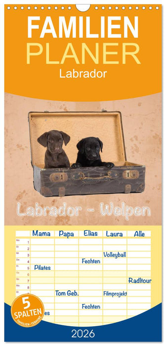 Labrador - Welpen (CALVENDO Familienplaner 2026)