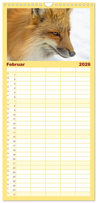 Fuchs - schlauer Räuber (CALVENDO Familienplaner 2026)
