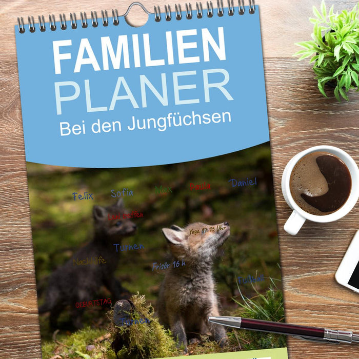 Bei den Jungfüchsen (CALVENDO Familienplaner 2026)
