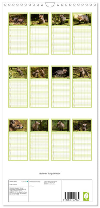 Bei den Jungfüchsen (CALVENDO Familienplaner 2026)