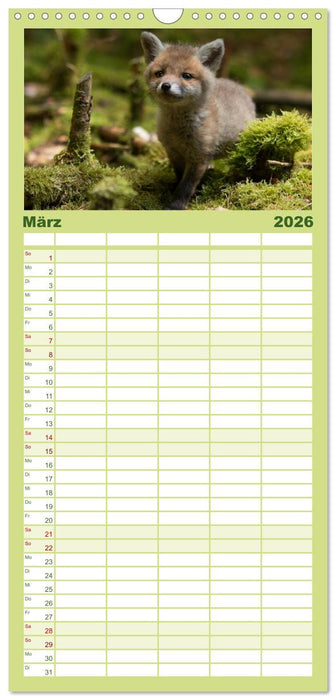 Bei den Jungfüchsen (CALVENDO Familienplaner 2026)