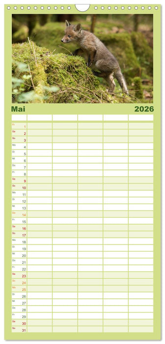 Bei den Jungfüchsen (CALVENDO Familienplaner 2026)