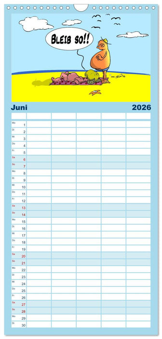 Trumix Cartoons - Dumm gelaufen (CALVENDO Familienplaner 2026)