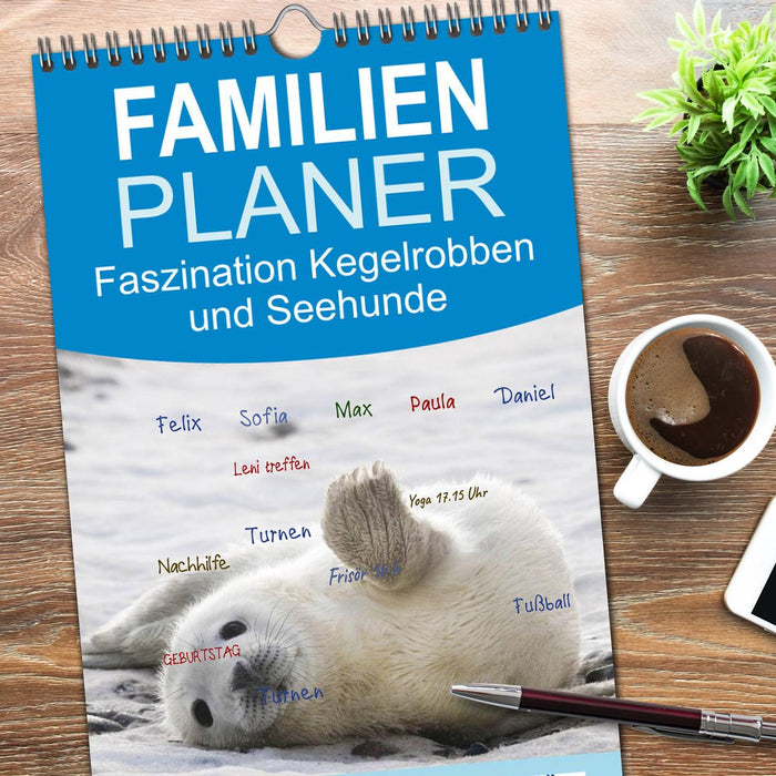 Faszination Kegelrobben und Seehunde (CALVENDO Familienplaner 2026)