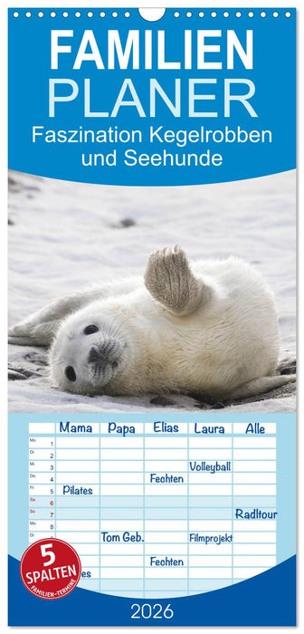 Faszination Kegelrobben und Seehunde (CALVENDO Familienplaner 2026)