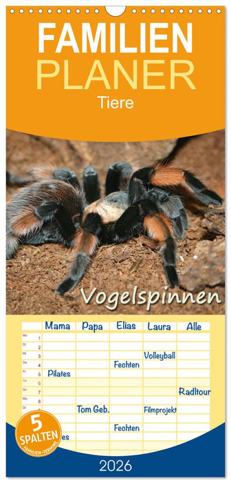 Vogelspinnen (CALVENDO Familienplaner 2026)