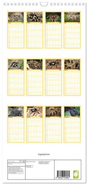 Vogelspinnen (CALVENDO Familienplaner 2026)