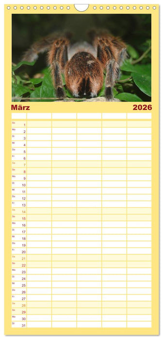 Vogelspinnen (CALVENDO Familienplaner 2026)