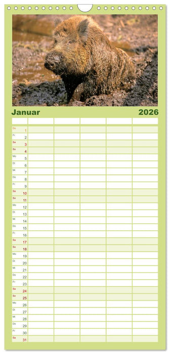 Tiere des Waldes (CALVENDO Familienplaner 2026)