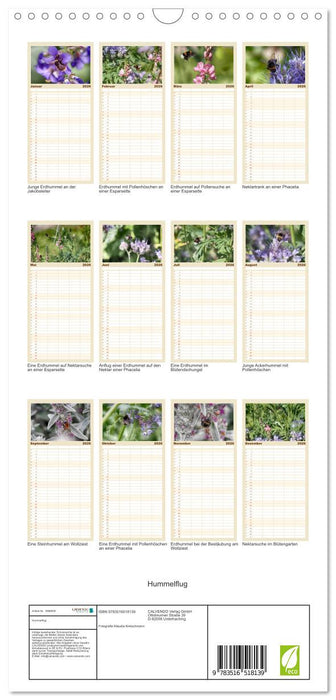 Hummelflug (CALVENDO Familienplaner 2026)