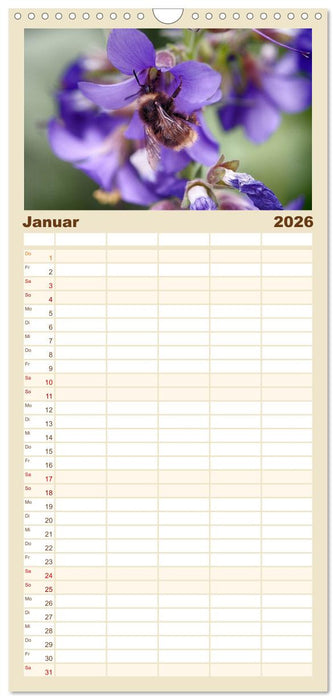 Hummelflug (CALVENDO Familienplaner 2026)