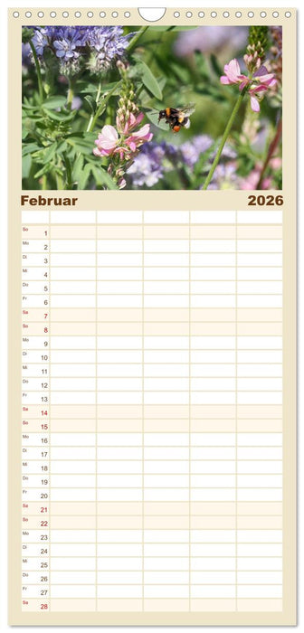 Hummelflug (CALVENDO Familienplaner 2026)