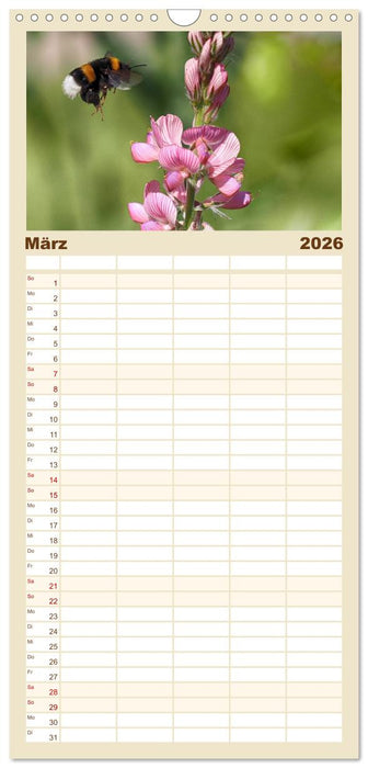 Hummelflug (CALVENDO Familienplaner 2026)