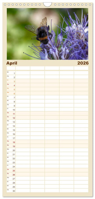 Hummelflug (CALVENDO Familienplaner 2026)