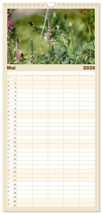 Hummelflug (CALVENDO Familienplaner 2026)