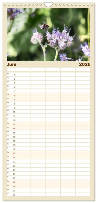 Hummelflug (CALVENDO Familienplaner 2026)