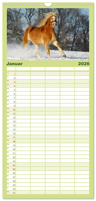 Welt der Pferde (CALVENDO Familienplaner 2026)