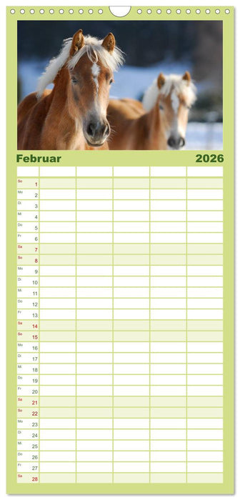 Welt der Pferde (CALVENDO Familienplaner 2026)