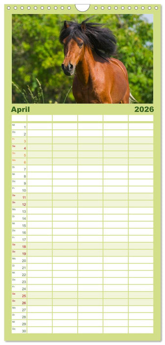 Welt der Pferde (CALVENDO Familienplaner 2026)