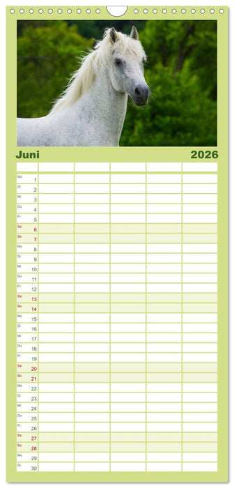 Welt der Pferde (CALVENDO Familienplaner 2026)