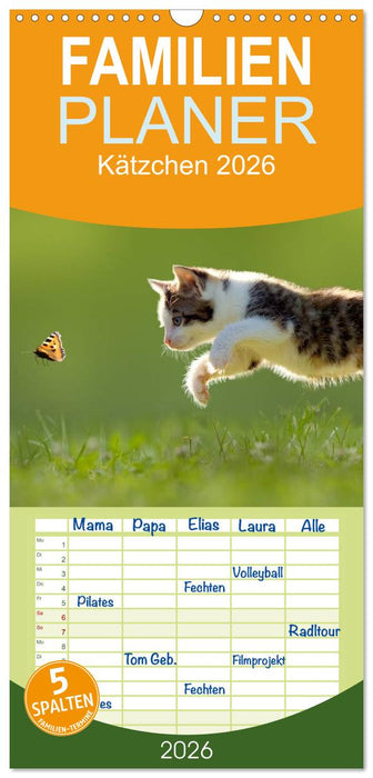 Kätzchen 2026 (CALVENDO Familienplaner 2026)
