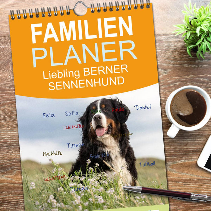 Liebling BERNER SENNENHUND (CALVENDO Familienplaner 2026)