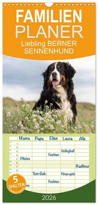 Liebling BERNER SENNENHUND (CALVENDO Familienplaner 2026)