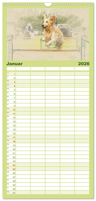 Golden Retriever (CALVENDO Familienplaner 2026)