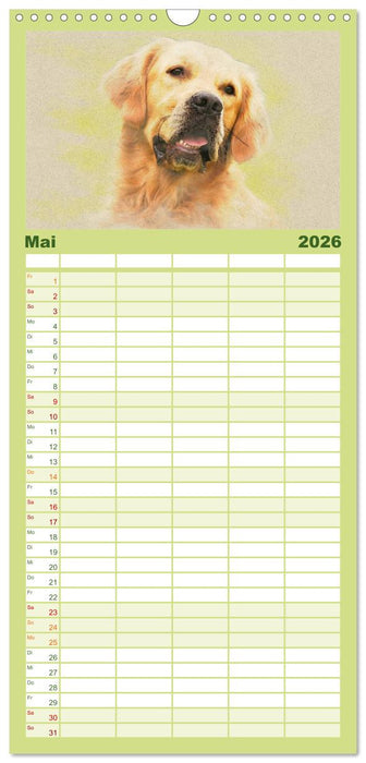 Golden Retriever (CALVENDO Familienplaner 2026)