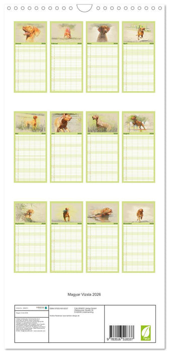 Magyar Vizsla 2026 (CALVENDO Familienplaner 2026)